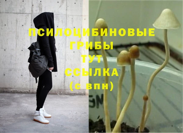 скорость Абаза