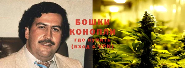 сатива Абинск