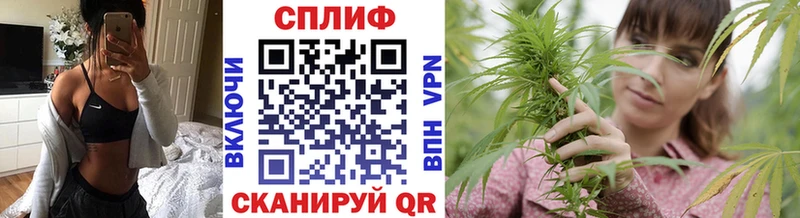 Канабис гибрид  Никольск 